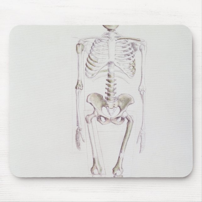 Skeleton of Australopithecus africanus Mouse Pad (Front)