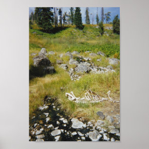 Skeleton of Elk Poster