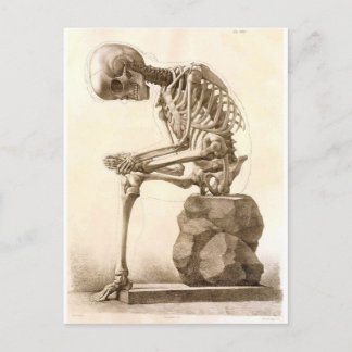 skeleton postcard