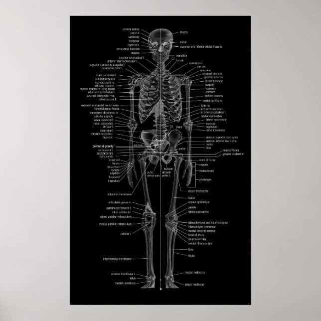 skeleton poster-chalkboard style poster (Front)
