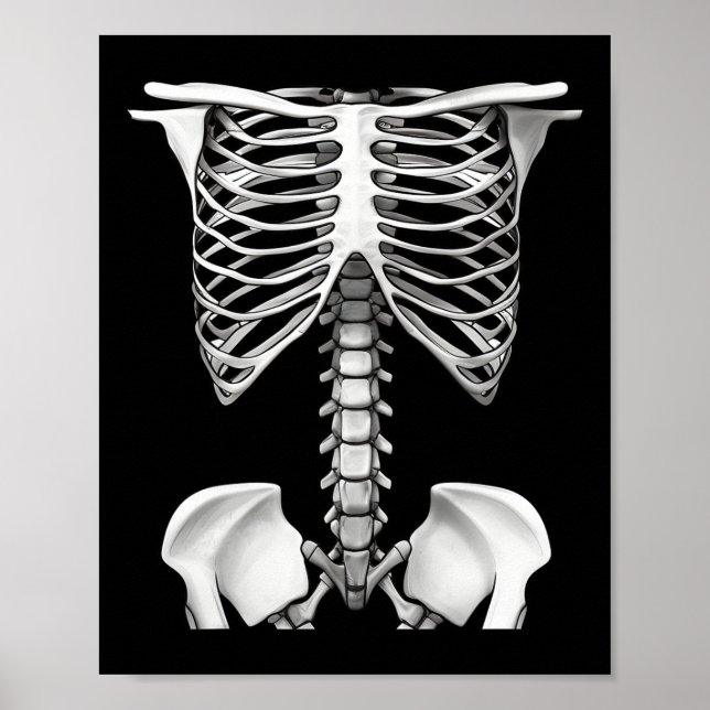 Skeleton Rib Cage Halloween Costume Gifts For Men  Poster (Front)