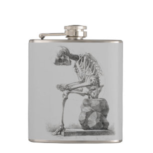 Skeleton Sitting Anatomy Illustraiton Hip Flask