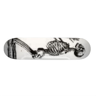 skeleton skateboard