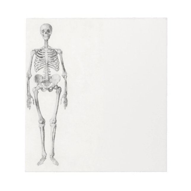 Skeleton Skull Notepad (Front)