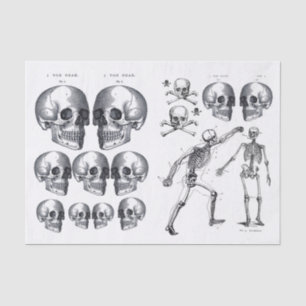 Skeleton Skulls Skull n Bones Decoupage Collage Ti Tissue Paper