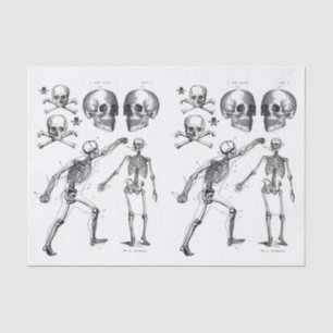 Skeleton Skulls Skull n Bones Decoupage Collage Ti Tissue Paper