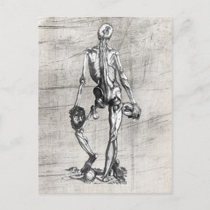 Skeleton Standing on Skull Postcard