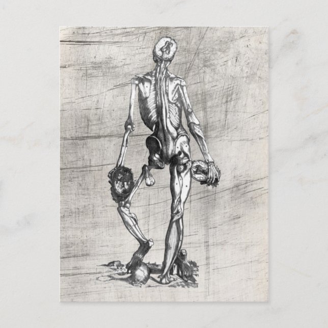 Skeleton Standing on Skull Postcard (Front)