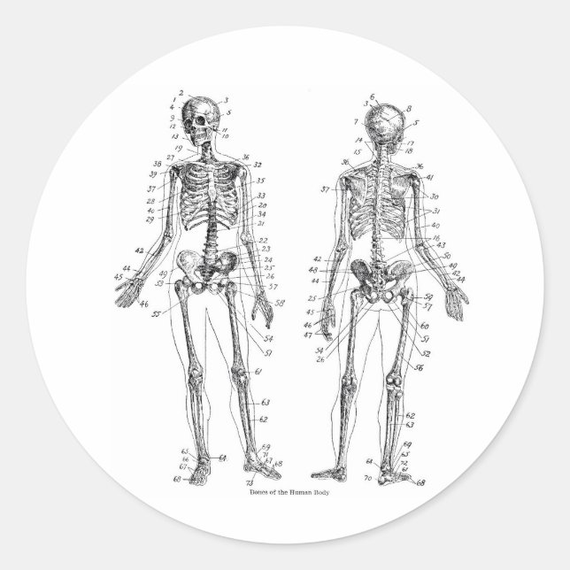 Skeleton Stickers (Front)