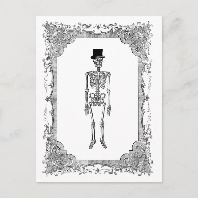 Skeleton Top Hat Vintage Frame Halloween Postcard (Front)