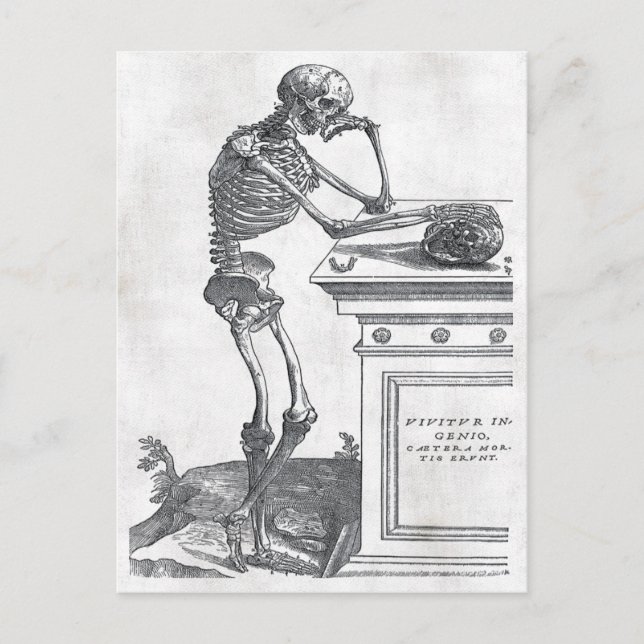 Skeleton With Skull Postcard (Front)