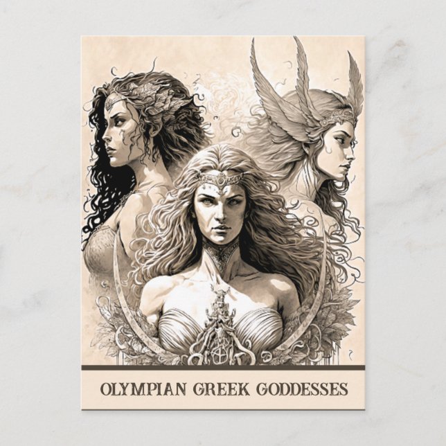Sketch Art Olympian Greek Goddesses Postcard (Front)