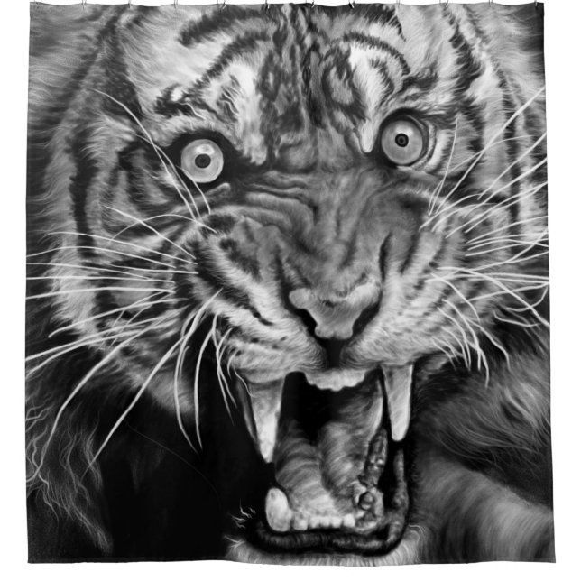 Sketch of a wild tiger in black and whiteblack,whi shower curtain (Front)