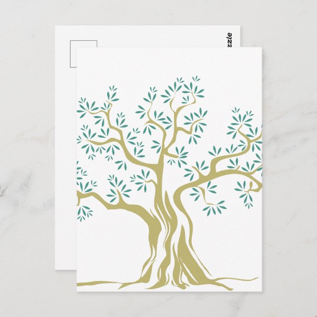 Sketch of Olive tree Postcard (Front/Back)