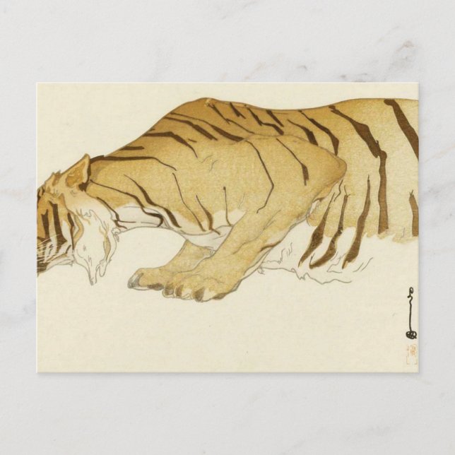 Sketch Of Tiger Dobutsu-En Tora Zoological Garden Postcard (Front)