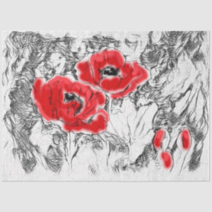 Sketch pencil hand drawn red poppy flowers beautif tissue paper