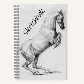 Sketchbook  notebook