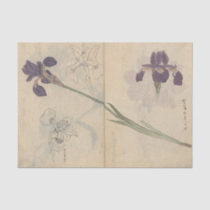 Sketchbook Pl. 085 by Ariyoshi Kondo Tissue Paper