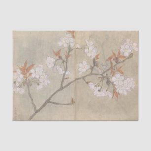 Sketchbook Pl. 088 by Ariyoshi Kondo Tissue Paper