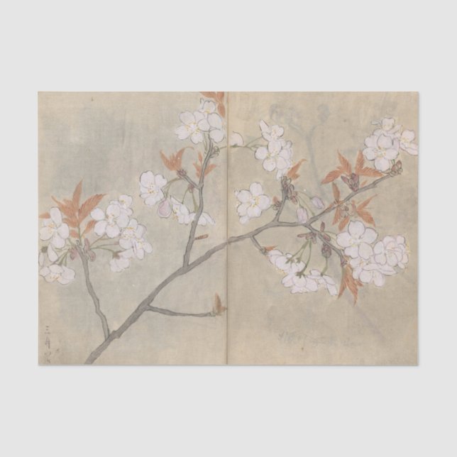Sketchbook Pl. 088 by Ariyoshi Kondo Tissue Paper (Front)