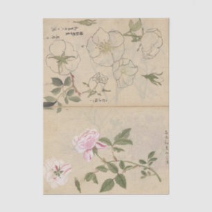 Sketchbook Pl. 107 by Ariyoshi Kondo Tissue Paper