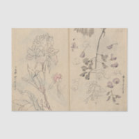 Sketchbook Pl. 110 by Ariyoshi Kondo