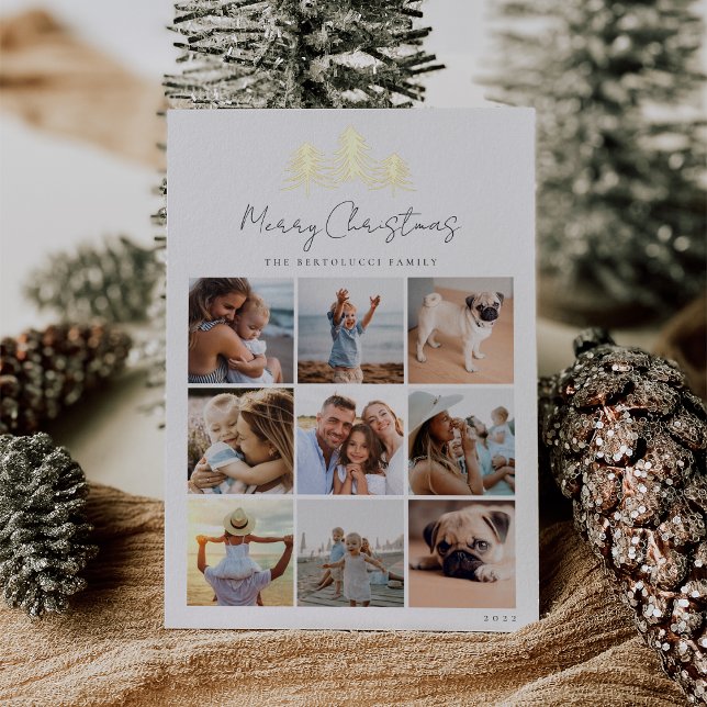 Sketched Pines Photo Collage (Creator Uploaded)