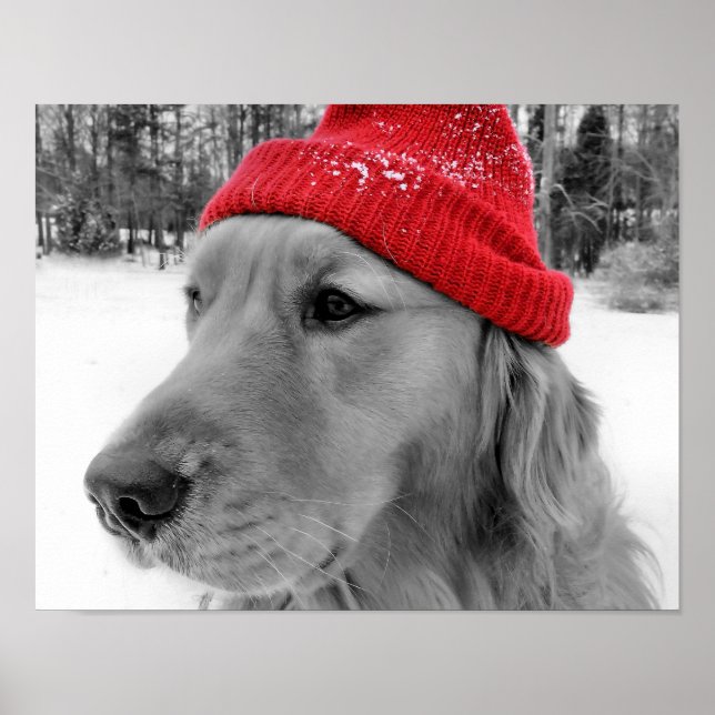 Ski Dog Poster (Front)