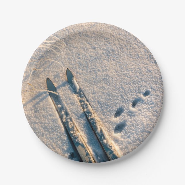 Ski track paper plate (Front)