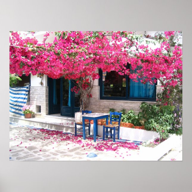 skiathos town bougainvillea 1196 poster (Front)
