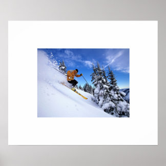 Skier Poster