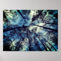 Skies Poetic Moment Value Poster Paper (Matte)