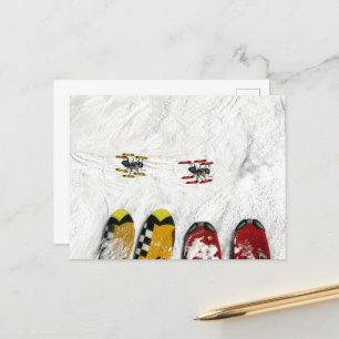 Skiing Ants  Postcard