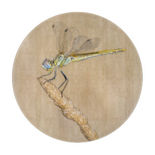 Skimmer Dragonfly Insect Female (CC BY 4.0) Cuttin Cutting Board