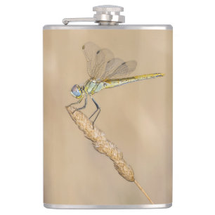 Skimmer Dragonfly Insect Female (CC BY 4.0) Hip Flask