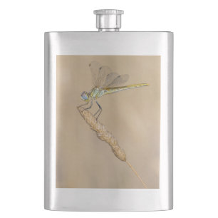 Skimmer Dragonfly Insect Female (CC BY 4.0) Hip Flask