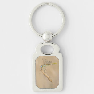 Skimmer Dragonfly Insect Female (CC BY 4.0) Key Ring