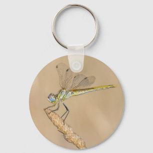 Skimmer Dragonfly Insect Female (CC BY 4.0) Keycha Key Ring