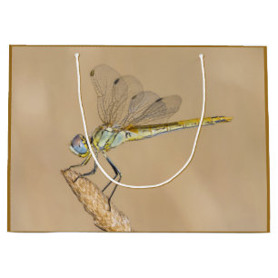 Skimmer Dragonfly Insect Female (CC BY 4.0) Large  Gift Bag