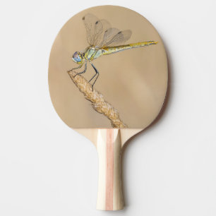Skimmer Dragonfly Insect Female (CC BY 4.0) Ping Pong Paddle