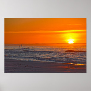 Skimmers Flying at Sunrise, Florida Beach Poster