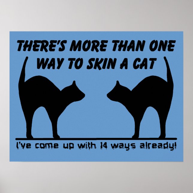 Skin A Cat Funny Poster Print Sign Humour (Front)