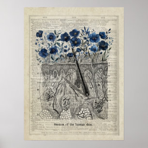 Skin Anatomy Blue Floral Vintage Dictionary Art Poster