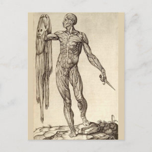 Skinned Alive Postcard