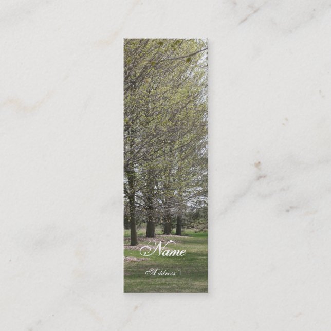 Skinny Business Mini Business Card (Front)