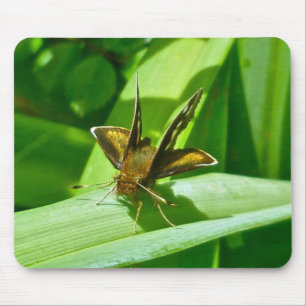 Skipper Butterfly Mousepad