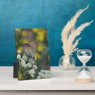Skipper butterfly on a flower plaque