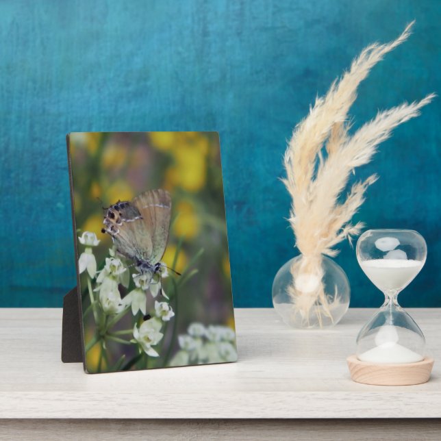 Skipper butterfly on a flower plaque (Side)