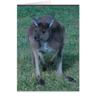 Skippy kangaroo Card