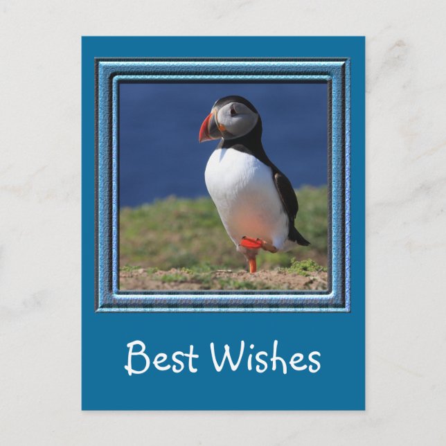 Skomer Island Puffins Postcard (Front)